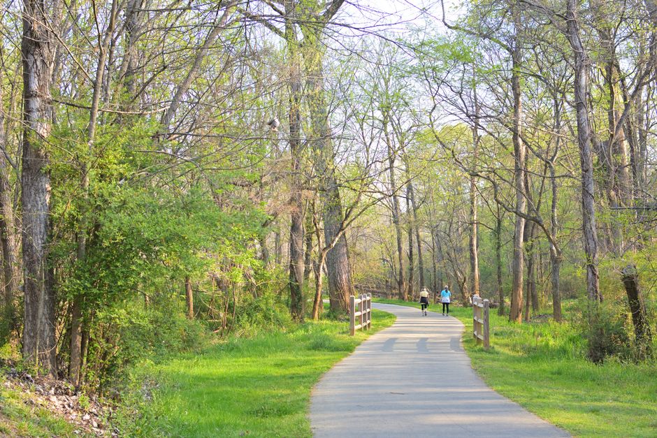 A Balanced Approach To Wellness: Myths and Facts