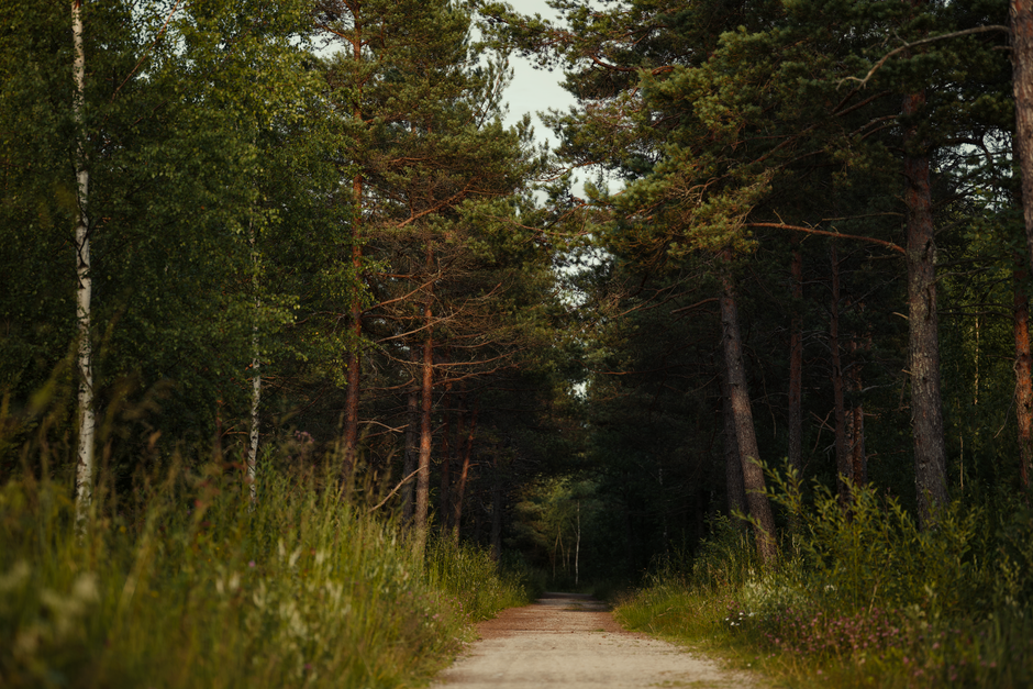 Caring For Your Overall Health: Making It Part of Your Day