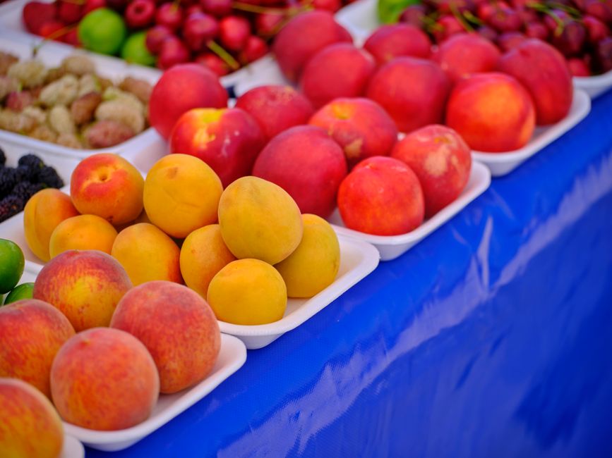 Everyday Wellness Tips as the Years Add Up